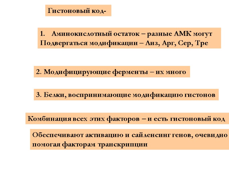 Гистоновый код-  Аминокислотный остаток – разные АМК могут  Подвергаться модификации – Лиз,